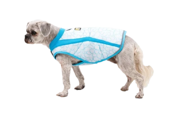 Swamp Cooler™ Cooling Dog Vest