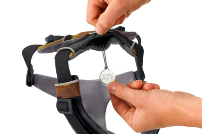 Front Range® Harness