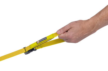 Flagline™ Dog Leash