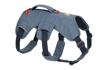Web Master™ Dog Harness with Handle