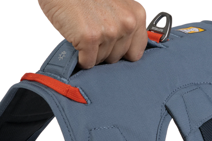 Web Master™ Dog Harness with Handle