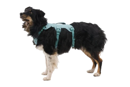 Web Master™ Dog Harness with Handle