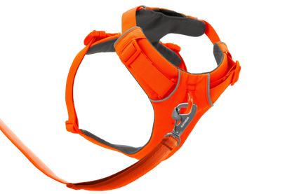 Front Range® Harness