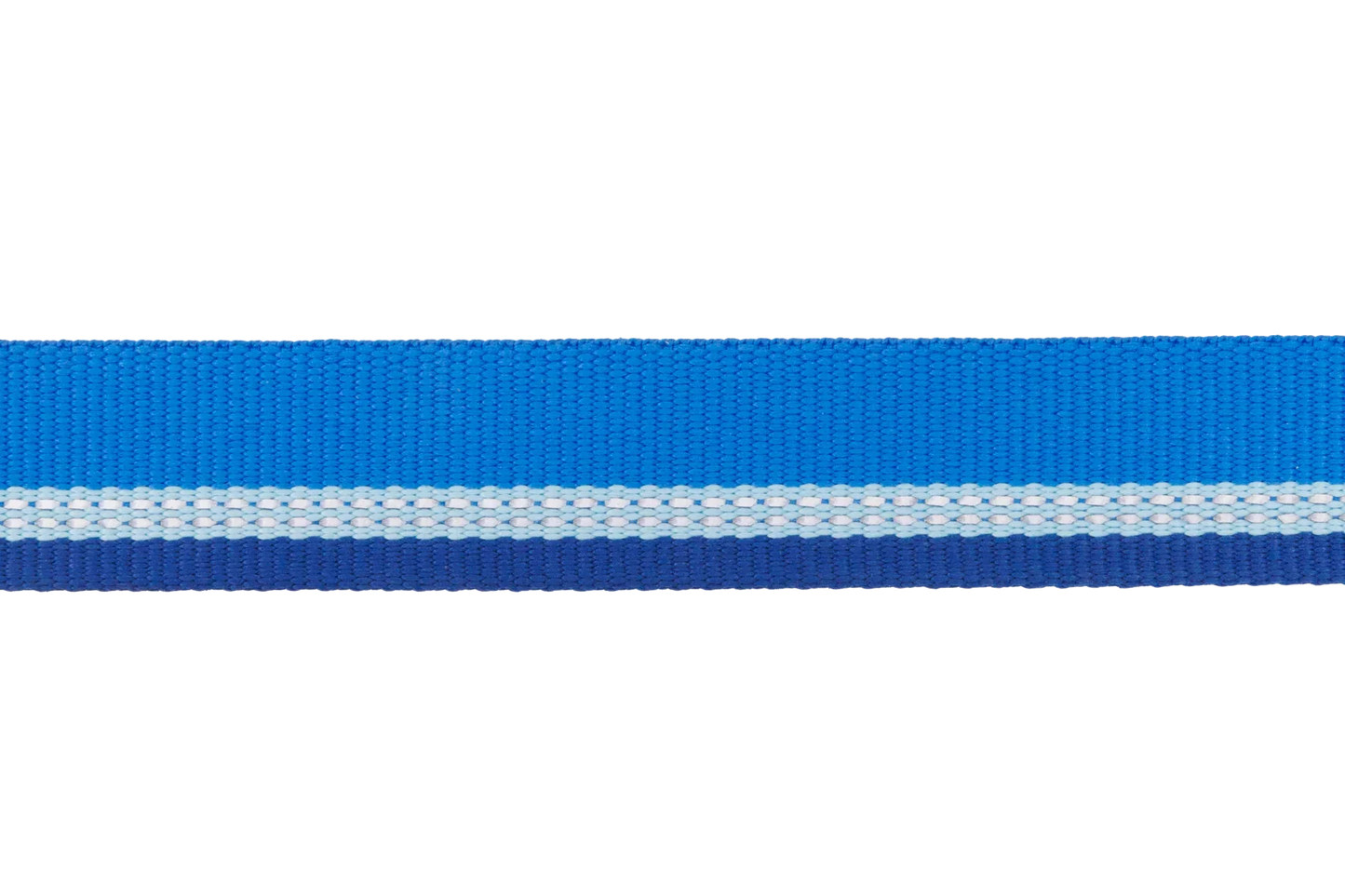 Top Rope™ Metal Buckle Dog Collar