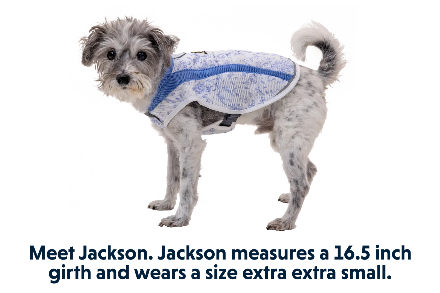 Swamp Cooler™ Cooling Dog Vest