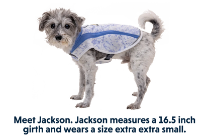 Swamp Cooler™ Cooling Dog Vest