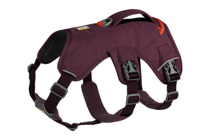 Web Master™ Dog Harness with Handle