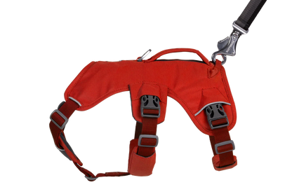 Web Master™ Dog Harness with Handle