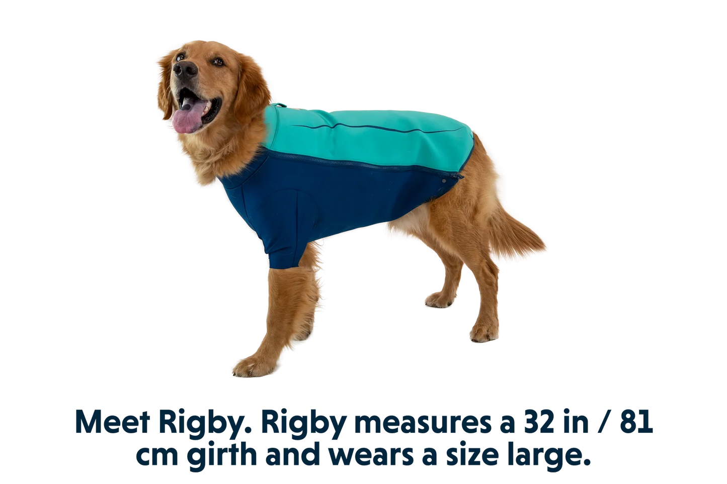 Undercoat™ Dog Water Jacket