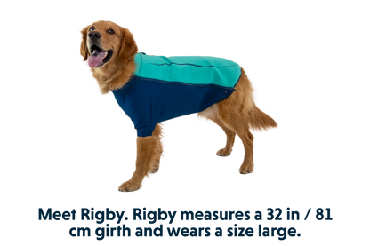 Undercoat™ Dog Water Jacket