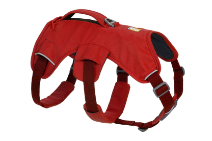 Web Master™ Dog Harness with Handle