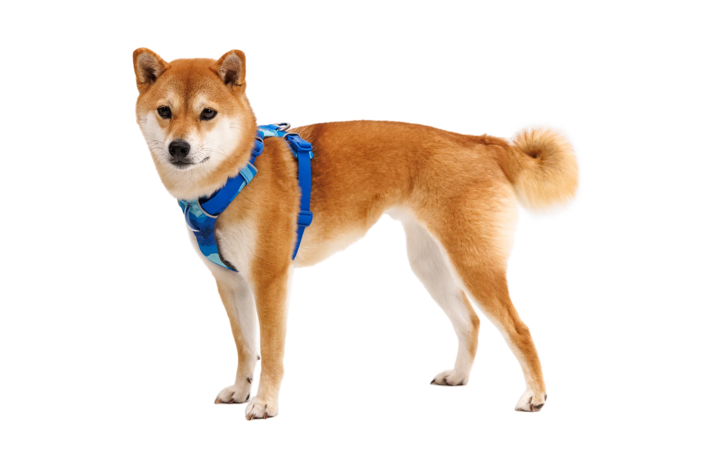 Front Range® Harness