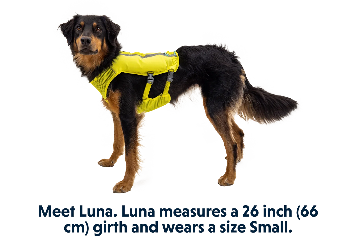Trail Runner™ Dog Running Vest