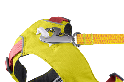 Flagline™ Dog Harness with Handle