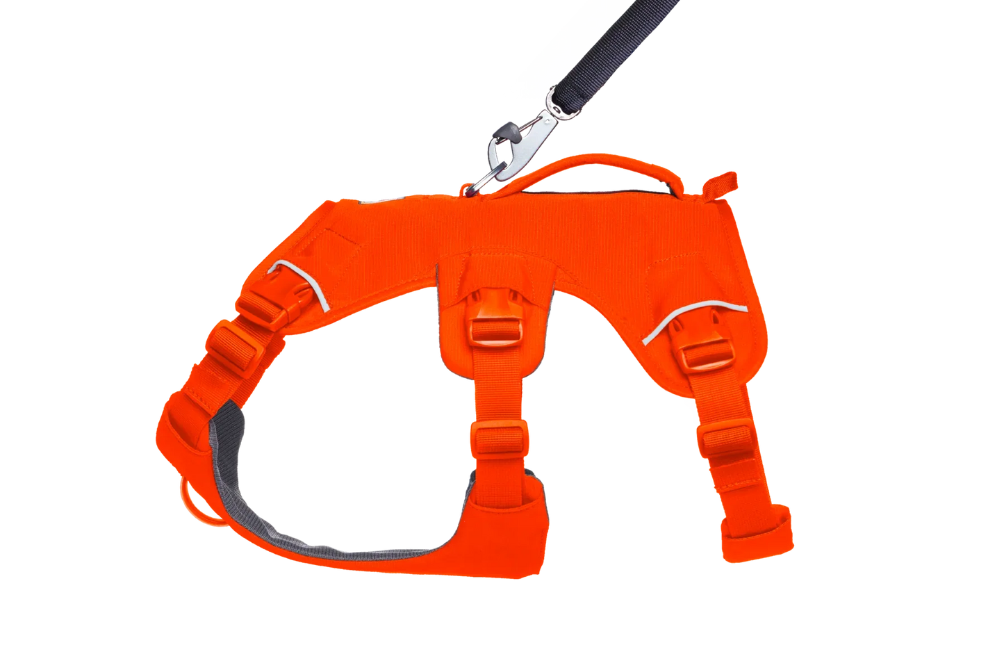 Web Master™ Dog Harness with Handle