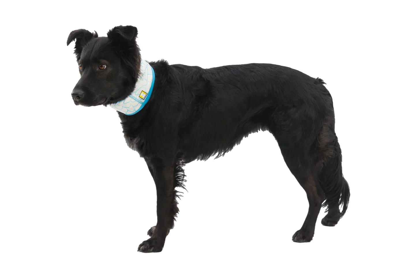 Swamp Cooler™ Cooling Neck Gaiter
