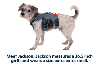 Web Master™ Dog Harness with Handle