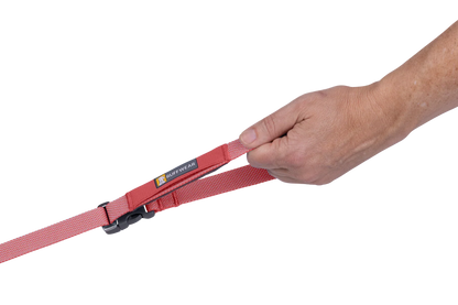 Flagline™ Dog Leash