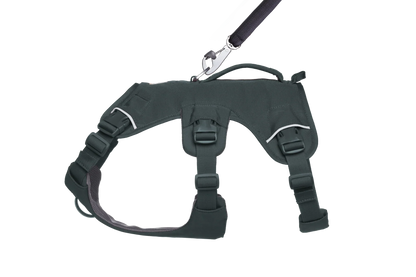 Web Master™ Dog Harness with Handle
