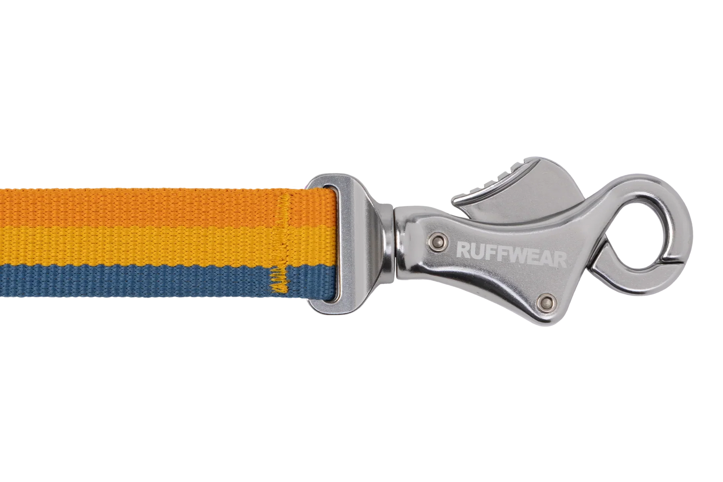 Roamer™ Bungee Dog Leash