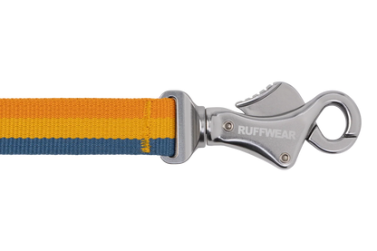 Roamer™ Bungee Dog Leash