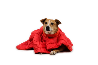 Palisades™ Sleep Poncho
