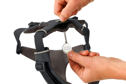 Front Range® Harness