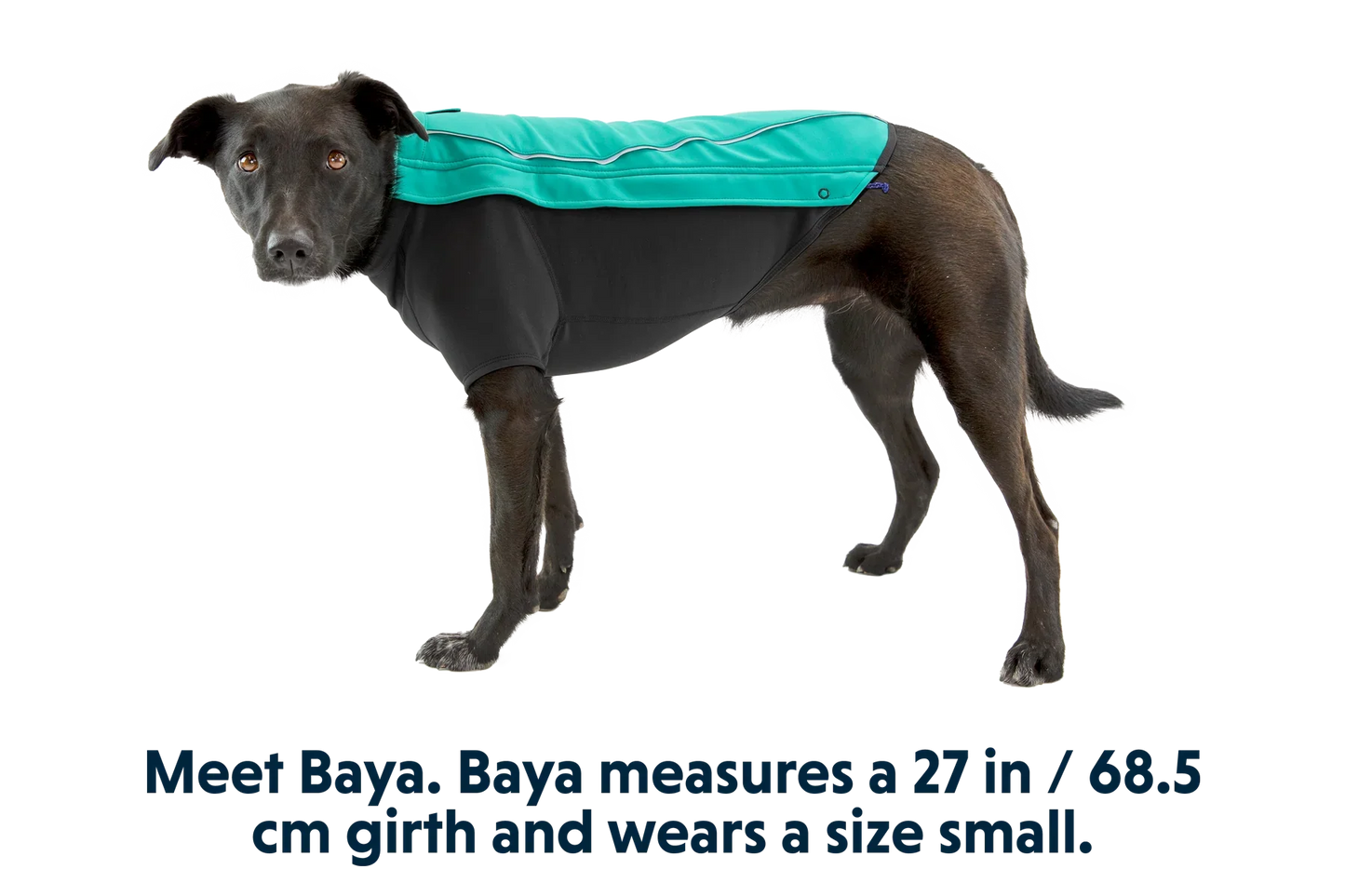 Cloud Chaser™ Dog Jacket