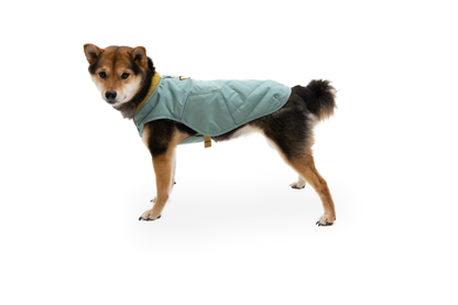 Stumptown™ Insulated Vest
