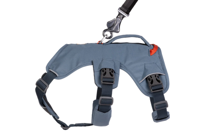 Web Master™ Dog Harness with Handle