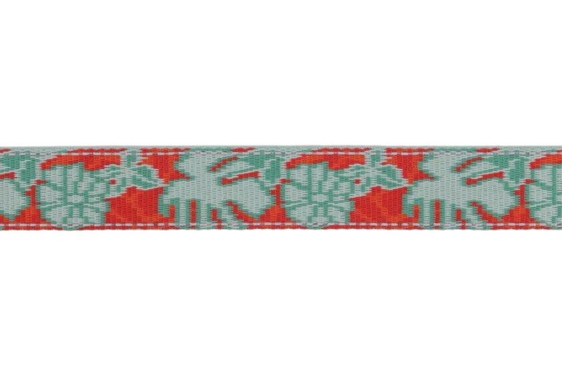 Crag™ Leash
