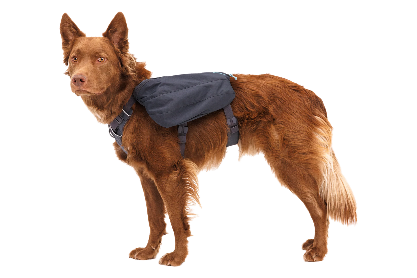 Front Range®  Day Pack