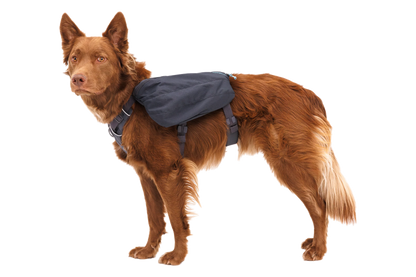 Front Range®  Day Pack