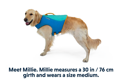 Float Coat™ Dog Life Jacket