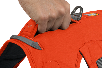 Web Master™ Dog Harness with Handle