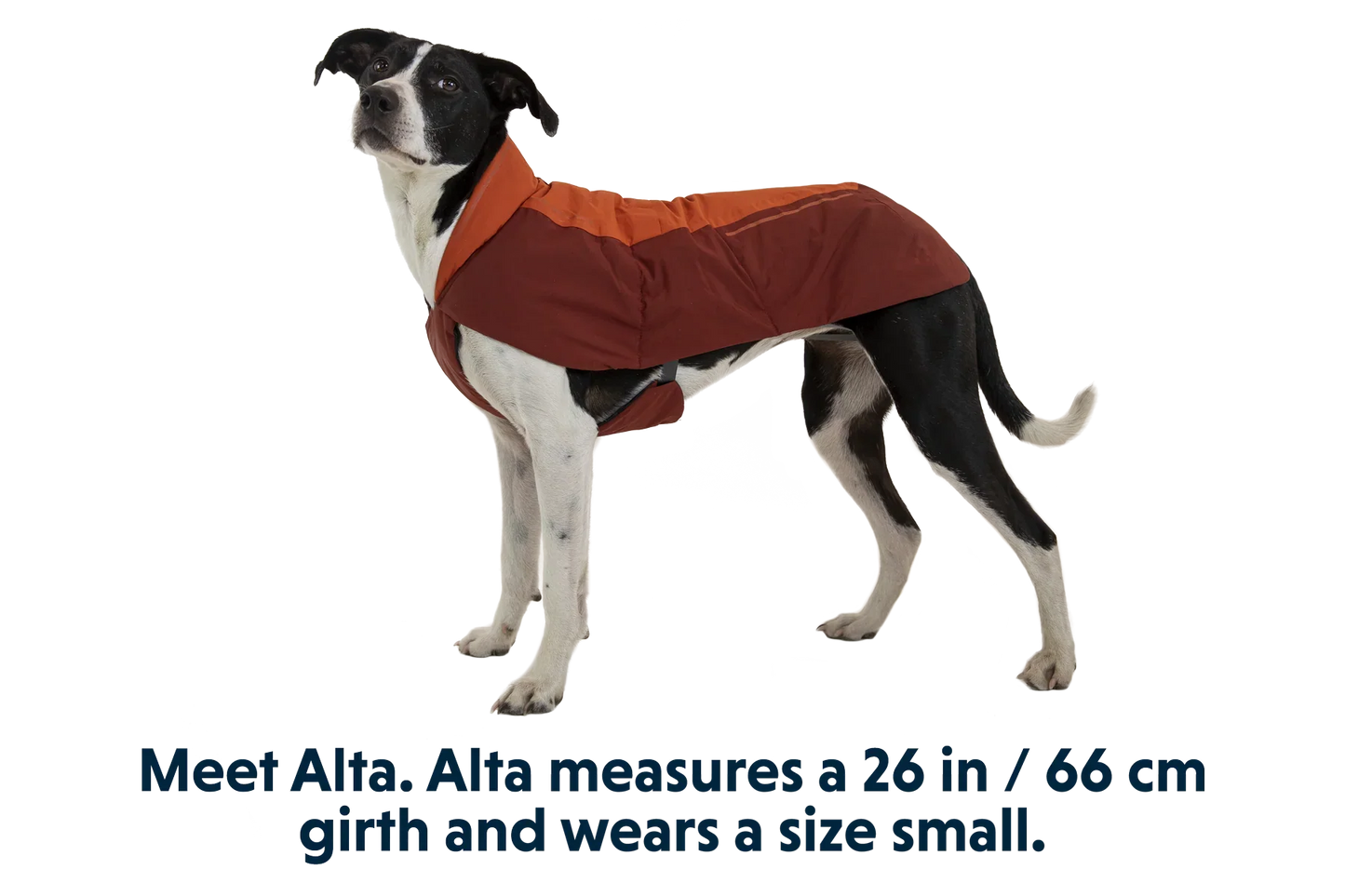 Vert™ Waterproof Insulated Vest