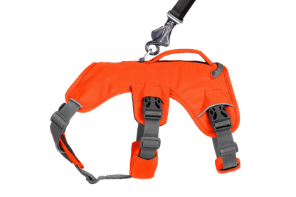 Web Master™ Dog Harness with Handle