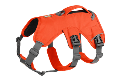 Web Master™ Dog Harness with Handle