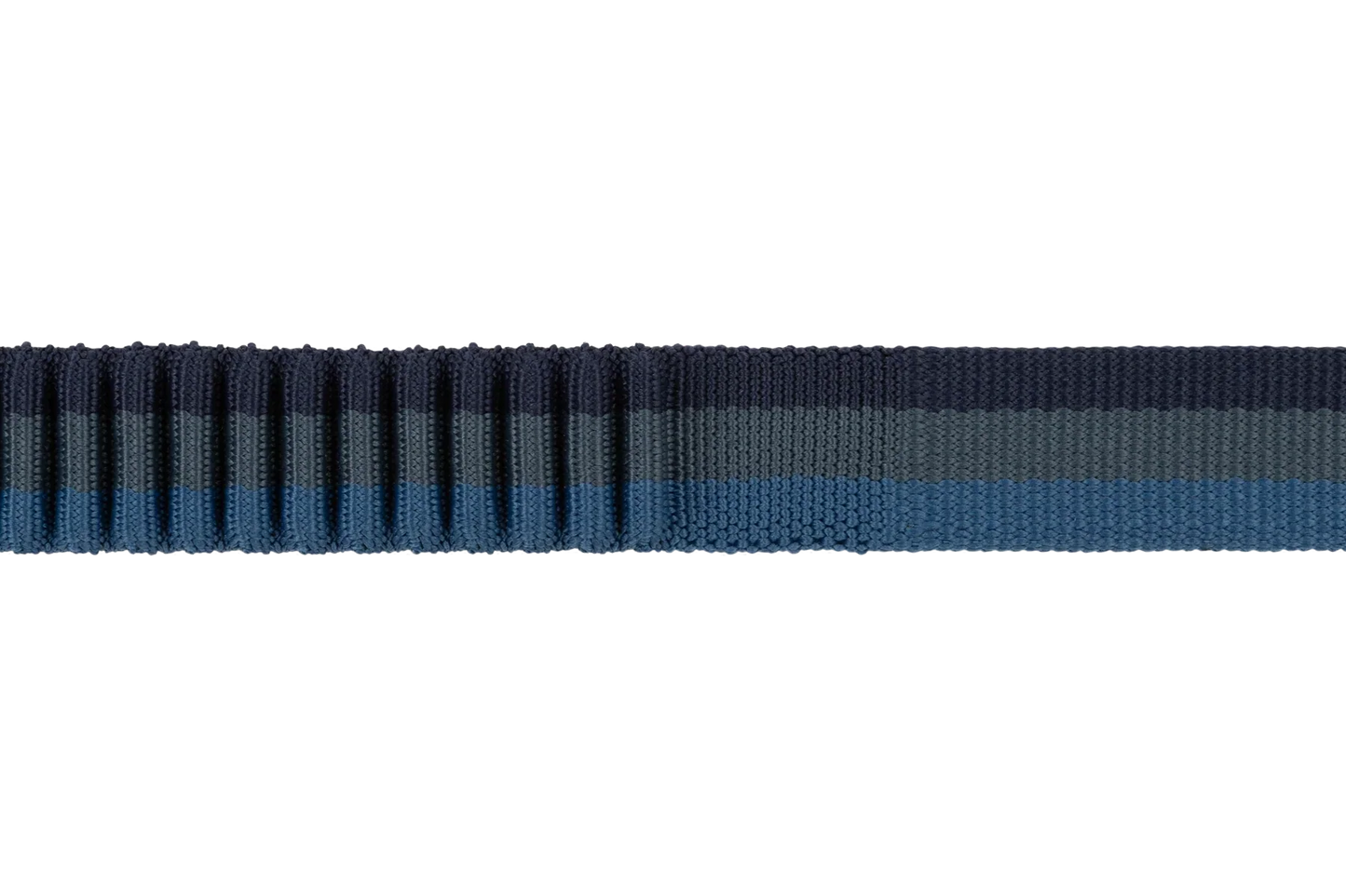 Roamer™ Bungee Dog Leash