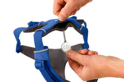 Front Range® Harness