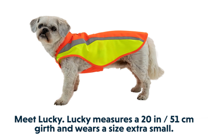 Lumenglow™ High-Vis Vest