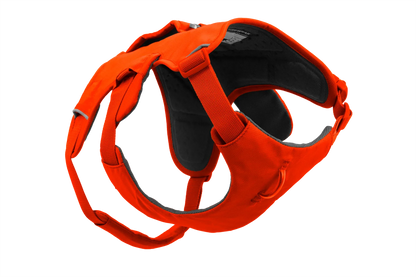 Web Master™ Dog Harness with Handle