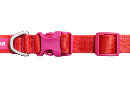 Front Range®  Flex Collar