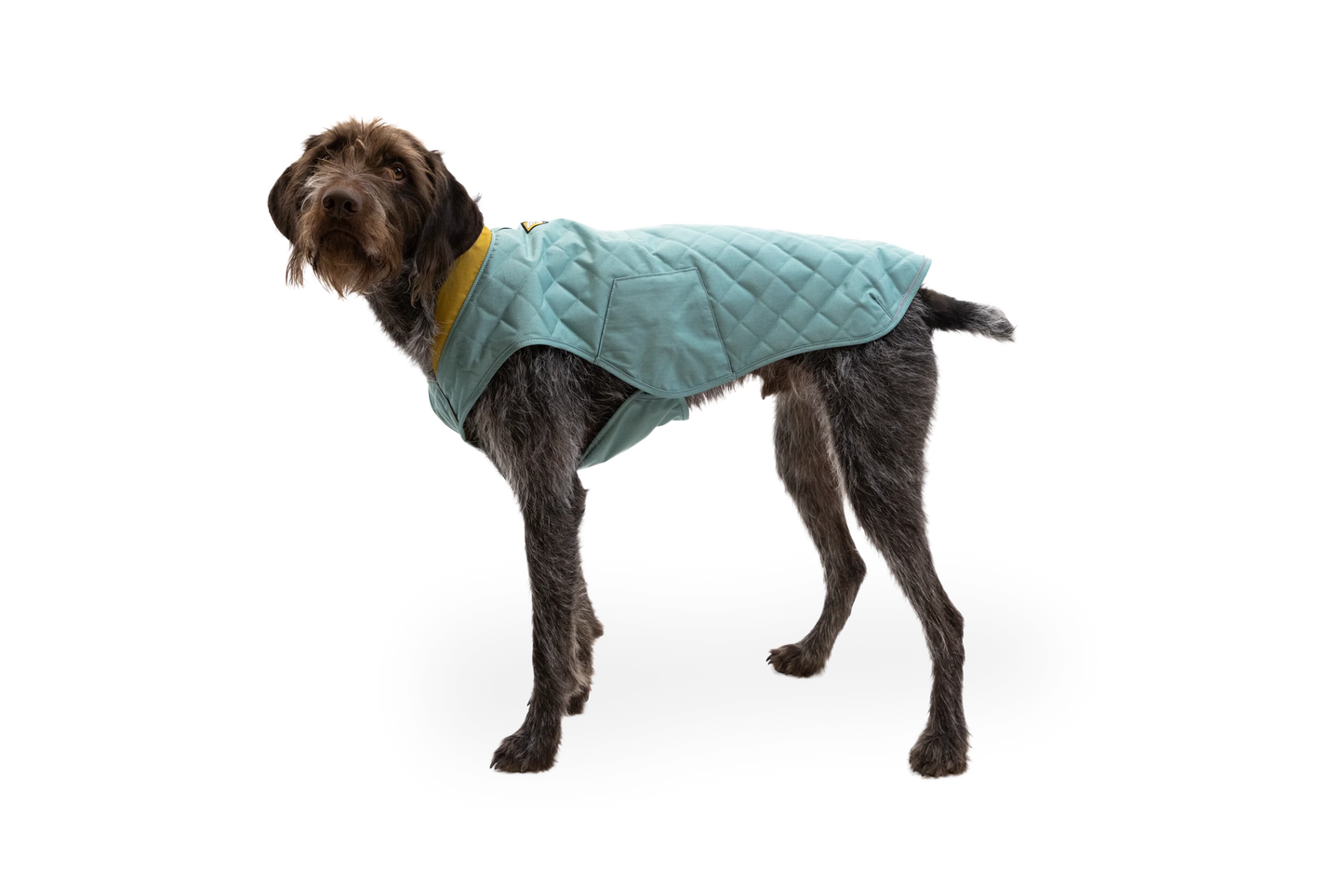 Stumptown™ Insulated Vest