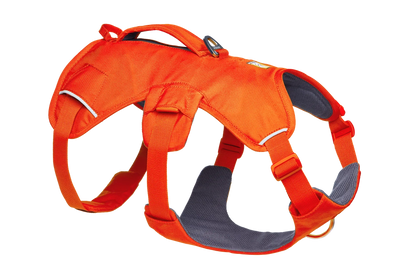 Web Master™ Dog Harness with Handle