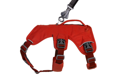 Web Master™ Dog Harness with Handle