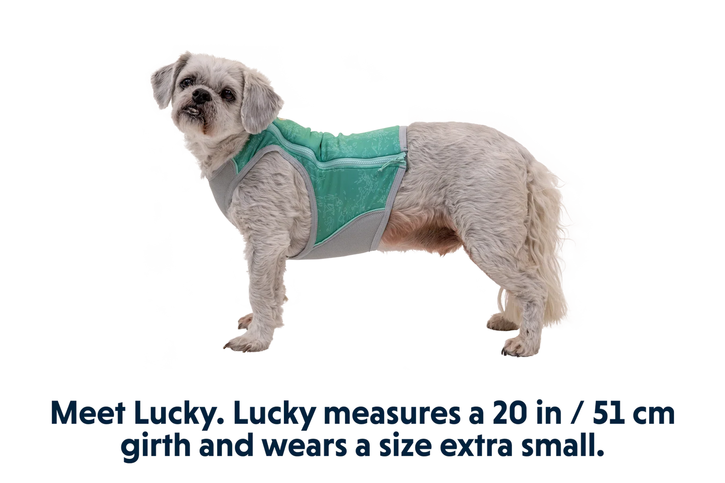 Swamp Cooler Zip™ Cooling Dog Vest