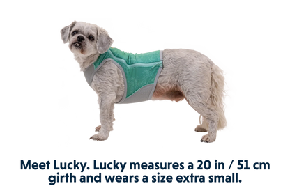 Swamp Cooler Zip™ Cooling Dog Vest