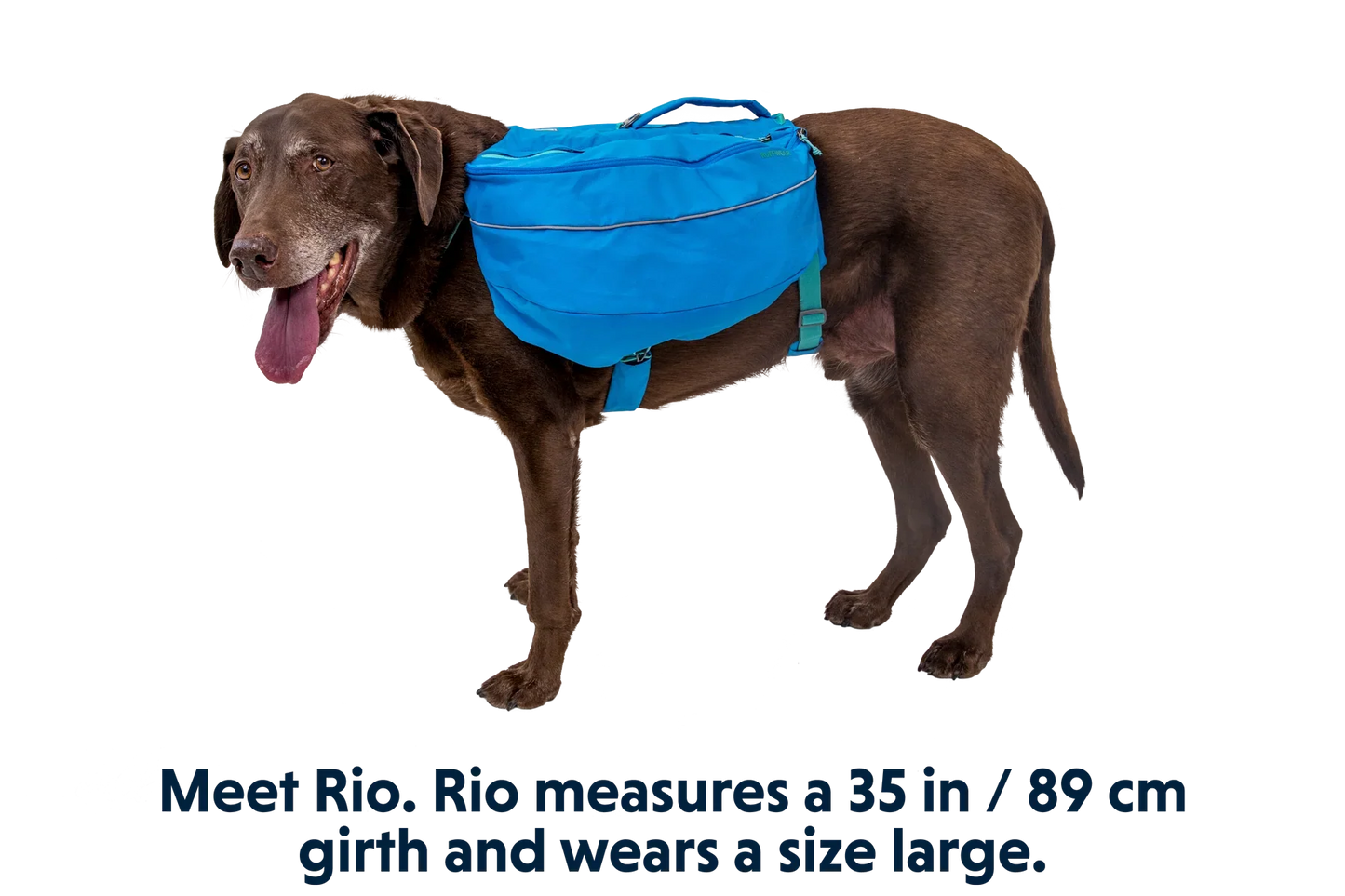 Approach™ Dog Backpack