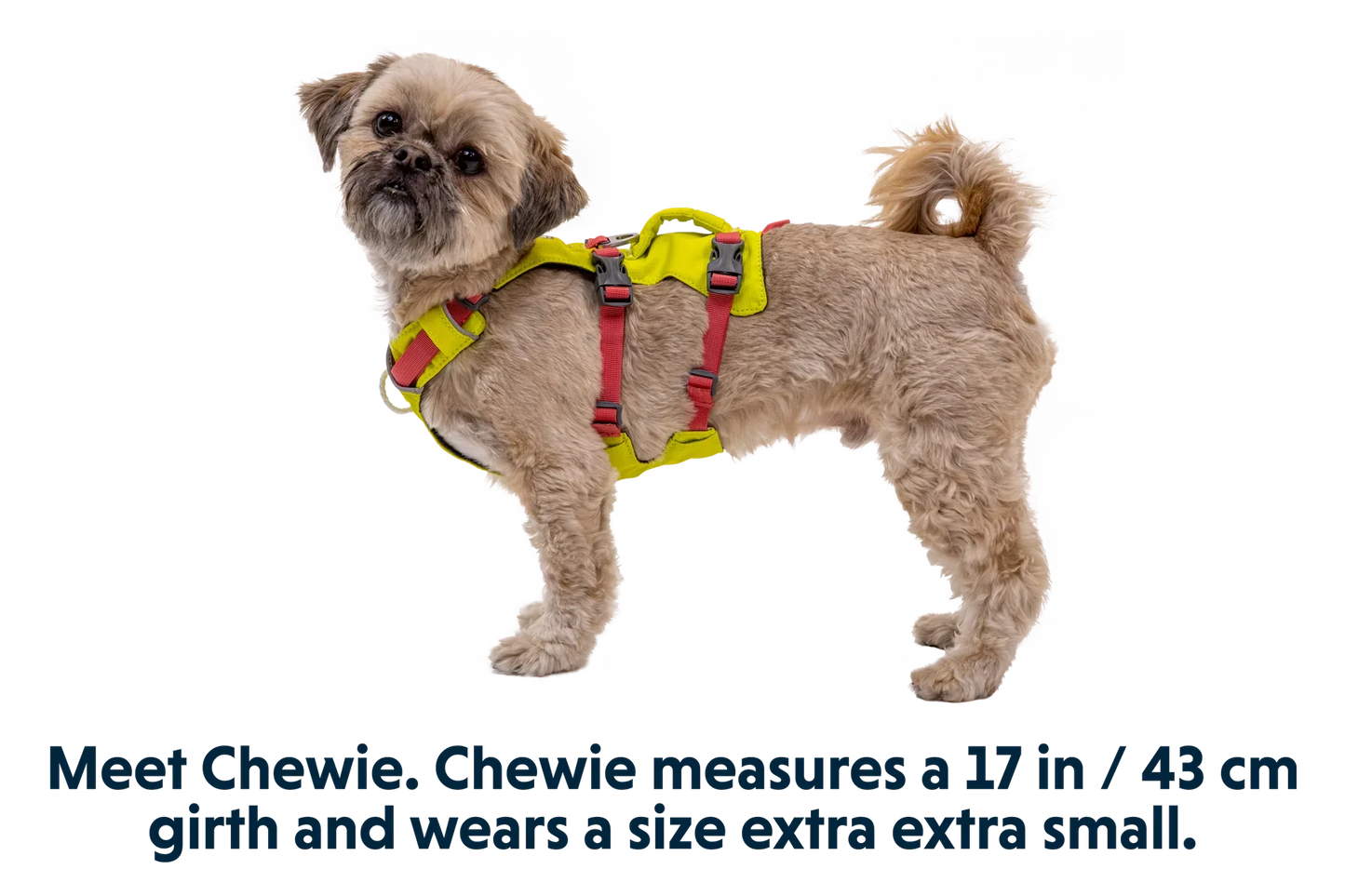 Flagline™ Dog Harness with Handle